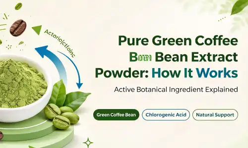Pure Green Coffee Bean Extract Powder Pure Green Coffee Bean Extract Powder
