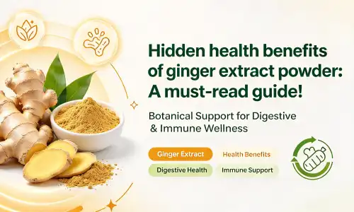 Ginger extract powder 