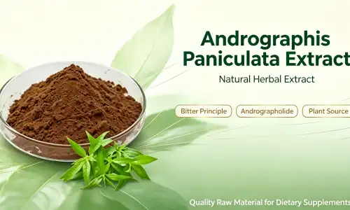 Andrographolide Powder 