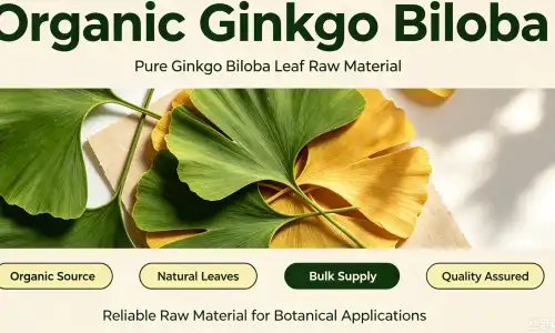 Ginkgo biloba extract Ginkgo biloba extract