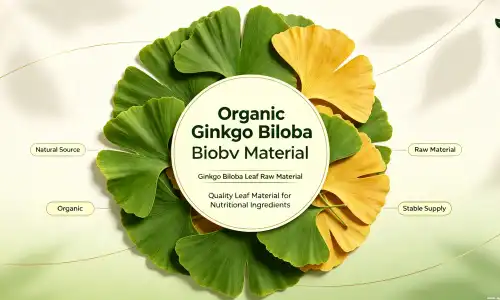 ginkgo biloba extract