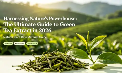 Green tea extract Green tea extract