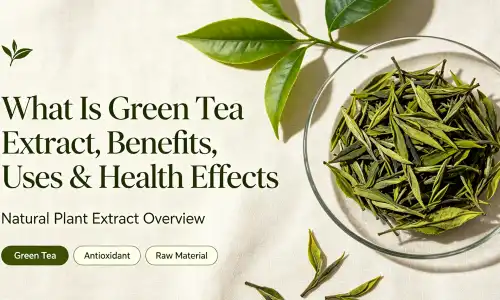 Green tea extract Green tea extract