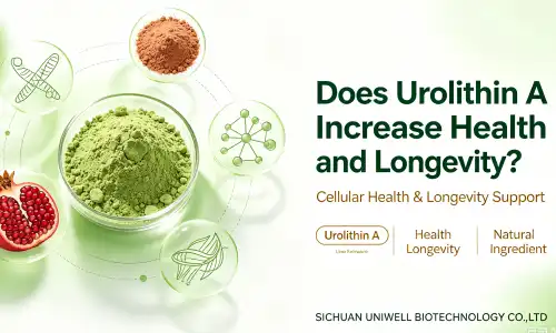 urolithin A urolithin A