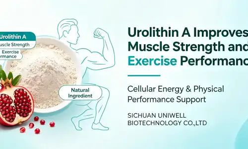 urolithin A urolithin A