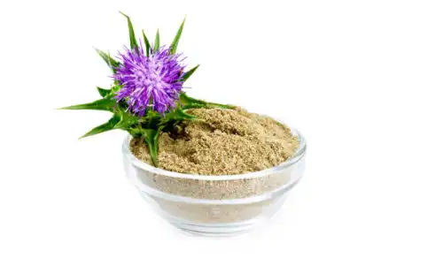 Pure Milk Thistle Fruit Extract Bulk Sourcing Guide