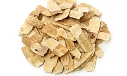 Eurycoma Longifolia Extract Powder Bulk Buying Tips