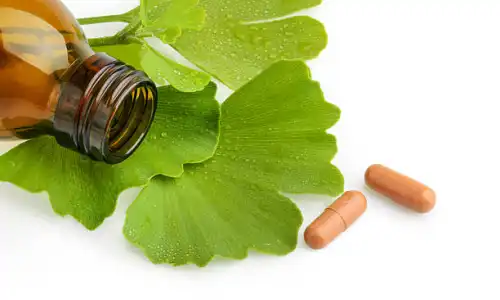 Organic Gingko Biloba Leaf Extract Powder Buying Guide