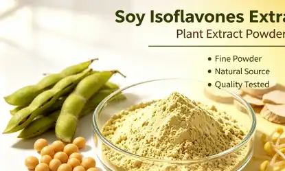 Natural Soybean Extract Powder in Supplements: Full Guide