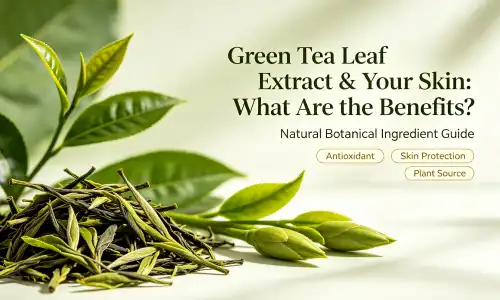 Green Tea Leaf Extract & Your Skin: What Are the Benefits?