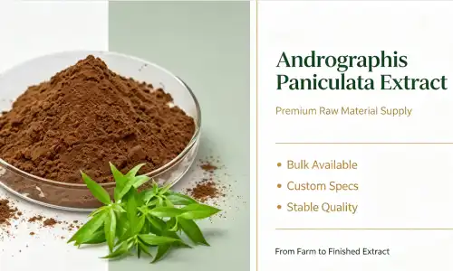 Andrographolide Powder: Complete Guide to Immune Support and Anti-Inflammatory Benefits