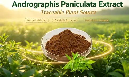 Where can I buy high-quality andrographolide powder online?