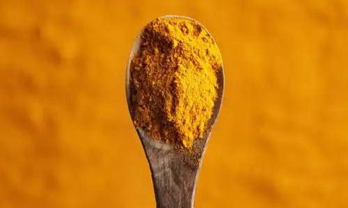 Pure Ginger Extract Powder Uses in Food and Supplements