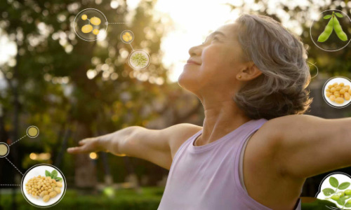 What Is Soybean Extract from Soybean Germs and Its Key Benefits?