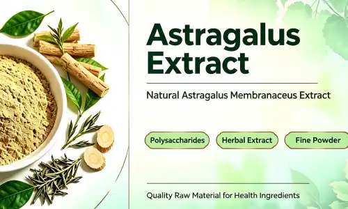 Astragalus The Ancient Root of Vitality and Immunity