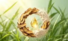 Organic Nature Polygonum Cuspidatum Extract Powder Guide