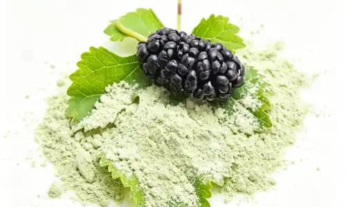 Mulberry Leaf Extract Powdera for Diabetes Support Use
