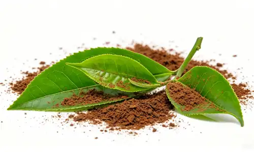 Organic Tea Leaf Extract: Buyer’s Guide to Quality Products