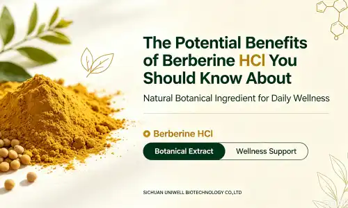 The Potential Benefits of Berberine HCl You Should Know About
