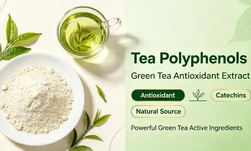 The Top 6 Benefits Of Green Tea Extract