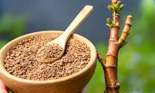 How to Use Nature Polygonum Cuspidatum Extract Powder Guide