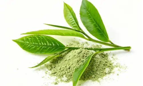 Tea Leaf Extract Bulk Buying Guide: Tips for Smart Sourcing