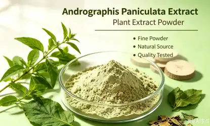 Andrographis Paniculata for Immunity: How It Works