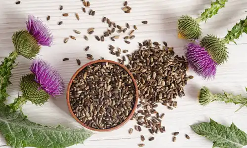 Organic Pure Milk Thistle Fruit Extract Buying Tips