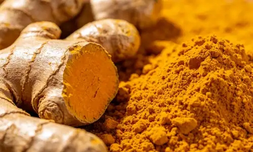 Pure Ginger Extract Powder for Nausea Relief Guide