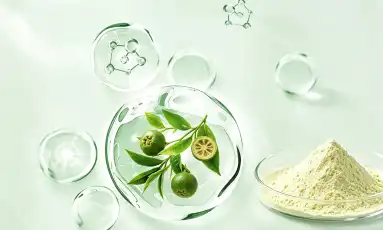 Natural Citrus Aurantium Extract Benefits for Weight Loss