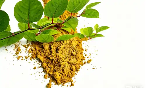 Nature Polygonum Cuspidatum Extract Powder Benefits Explained