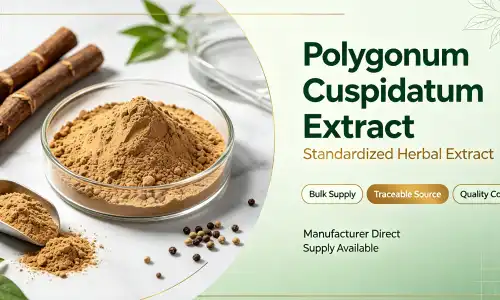 Fermented Resveratrol Powder Explained: Everything You Need to Know Before You Buy