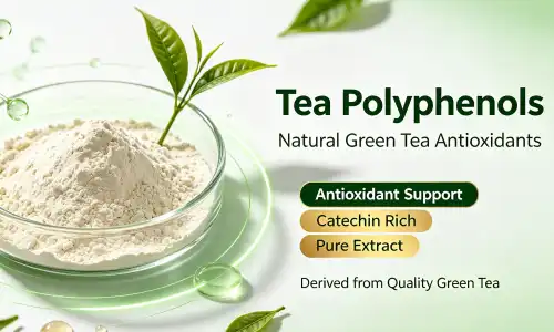 Green Tea Extract Powder Guide: Bulk Supply, Benefits & Trusted Suppliers