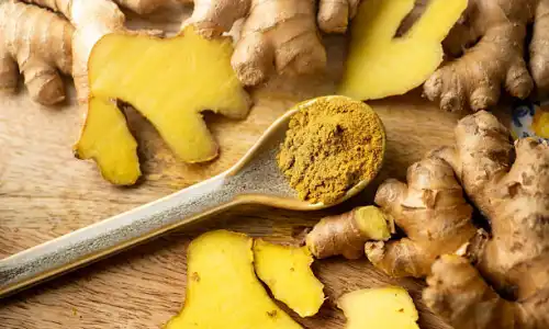 Organic Pure Ginger Extract Powder Buying Guide