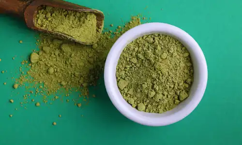 Tea Leaf Extract Benefits for Health and Antioxidant Support