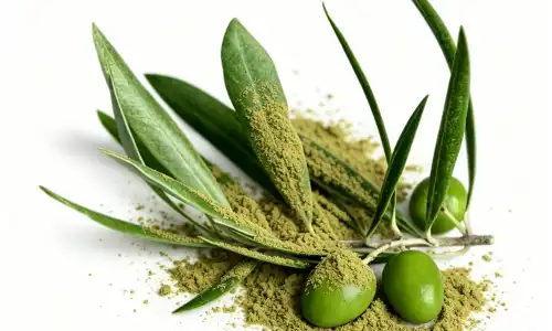 High Purity Oleuropein in Supplements: Full Buyer Guide