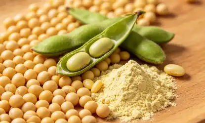 How to Use Natural Soybean Extract Powder: Beginner Guide