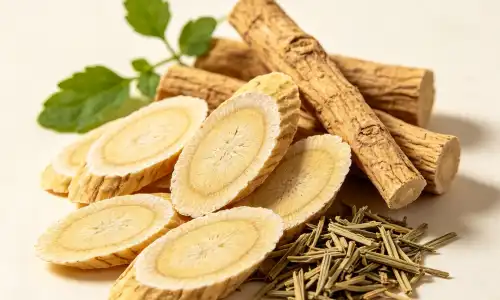 Benefits of astragalus extract for energy and wellness