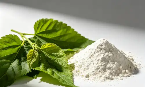 Mulberry Leaf Extract Powder Benefits You Should Know