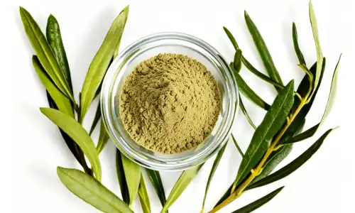 High Purity Oleuropein Benefits for Heart and Immune Health