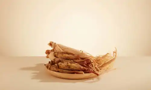Chinese Panax Ginseng Extract for Immunity Support Guide