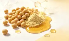 Natural Soybean Extract Powder for Women: Hormone Support