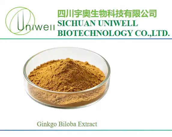 Ginkgo Biloba Extract 24/6 (24% Flavones, 6% Lactones) HPLC