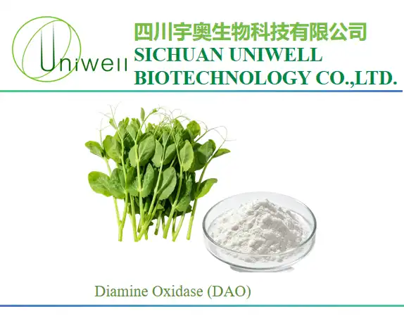 Diamine Oxidase (DAO) Enzyme Powder
