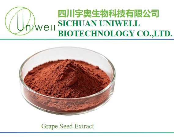 Pure Grape Seed Extract Powder