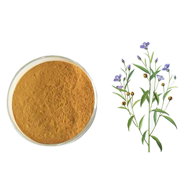 Natural-Secoisolariciresinol-Diglucoside-SDG-Powder-Flaxseed-Extract-1